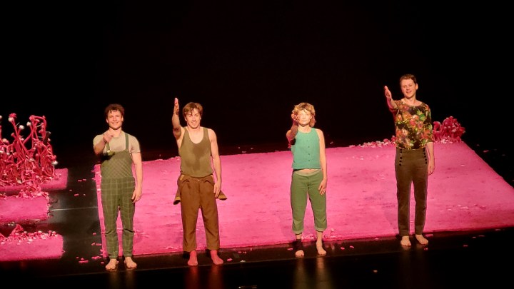 May 7, 2025 - "The Problem With Pink" at the McCallum Theatre.