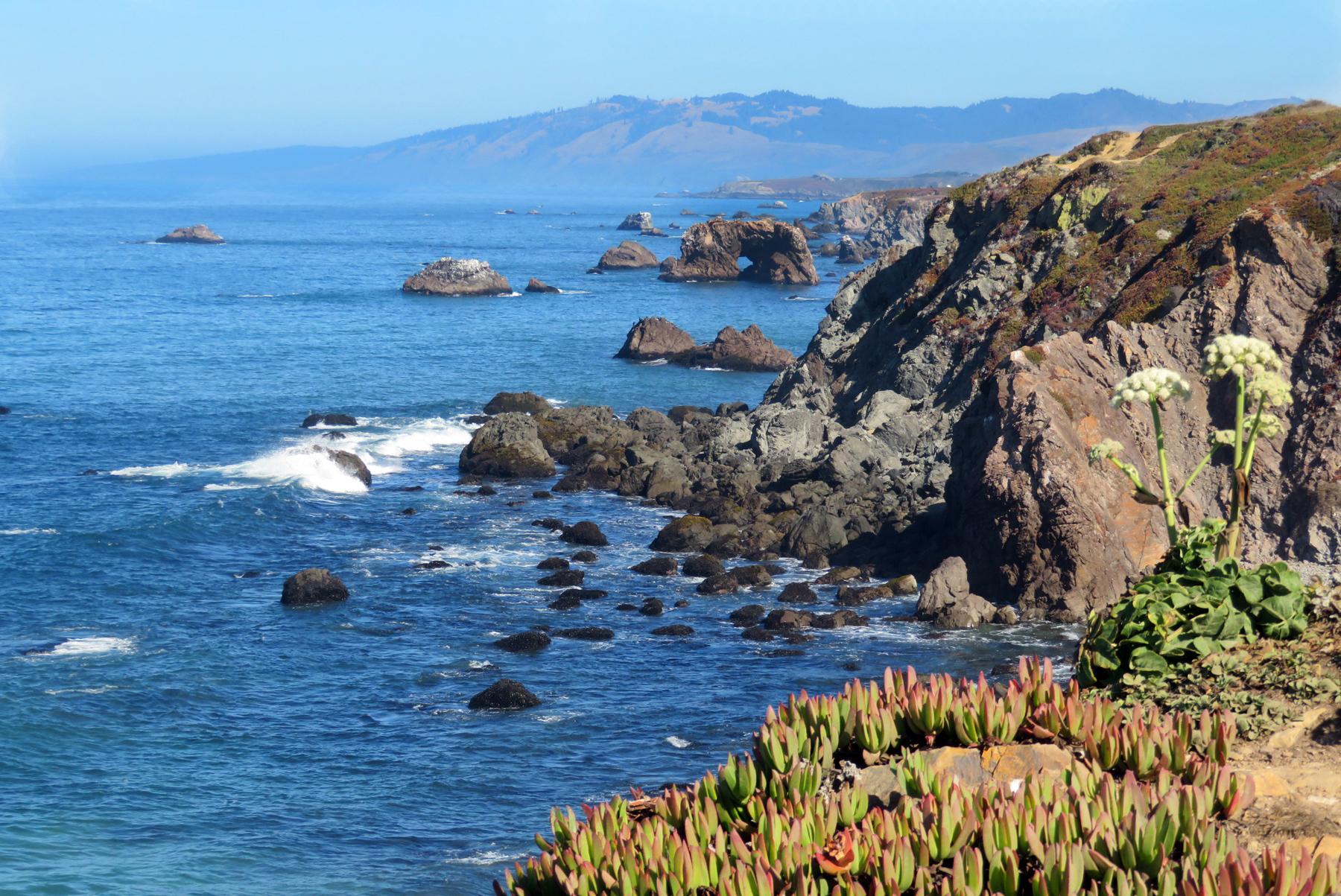Drive on Highway 1 along the Sonoma Coast