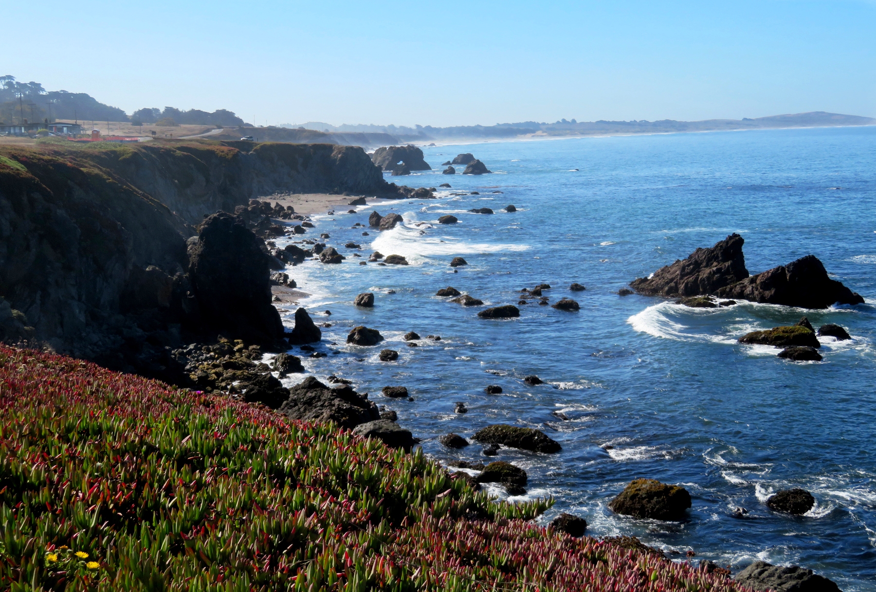 Drive on Highway 1 along the Sonoma Coast
